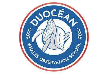 Logo DUOCEAN 
